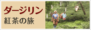 ダージリン 紅茶の旅