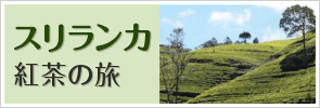 スリランカ 紅茶の旅