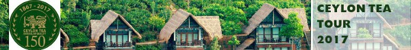 CEYLON TEA TOUR 2017